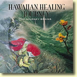 Hawaiian Healing Journey - The Journey Begins